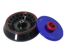 की छवि